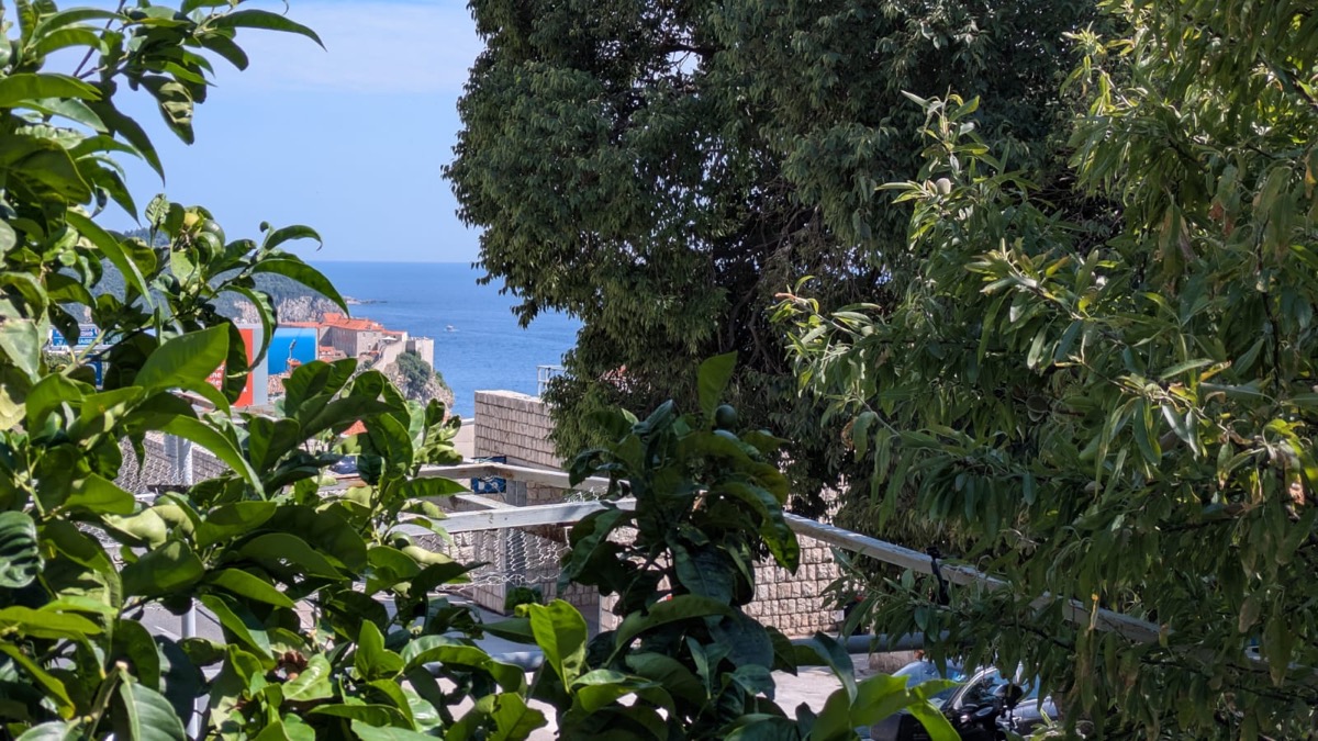 La città vecchia e il mare visti dal giardino